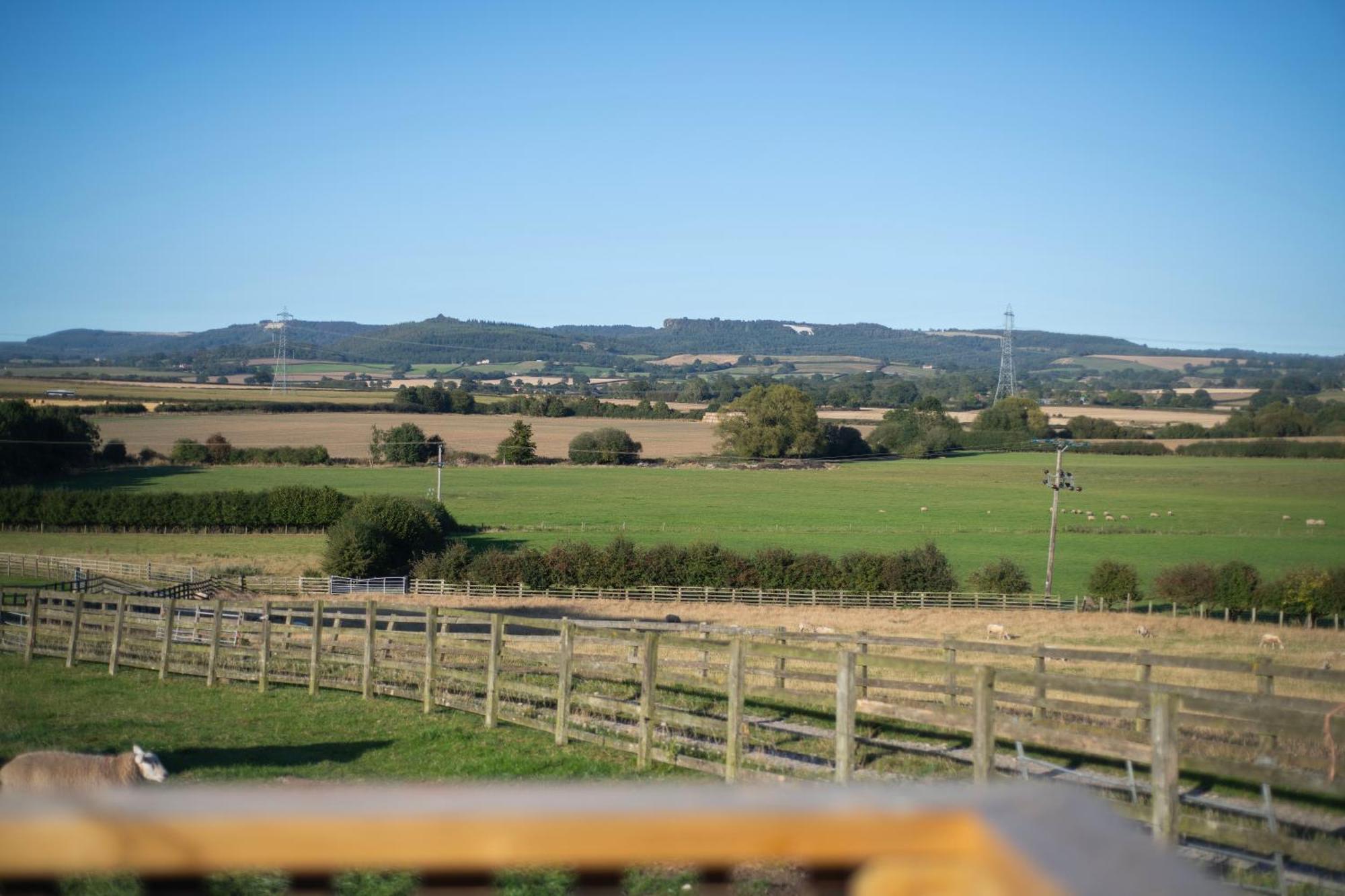 Burtree Country House, Tipi'S, Treehouse & Lodge & House Rooms With Hot Tubs In A Private Garden Thirsk Exteriör bild